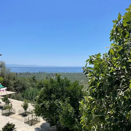 Sofia Διαμέρισμα